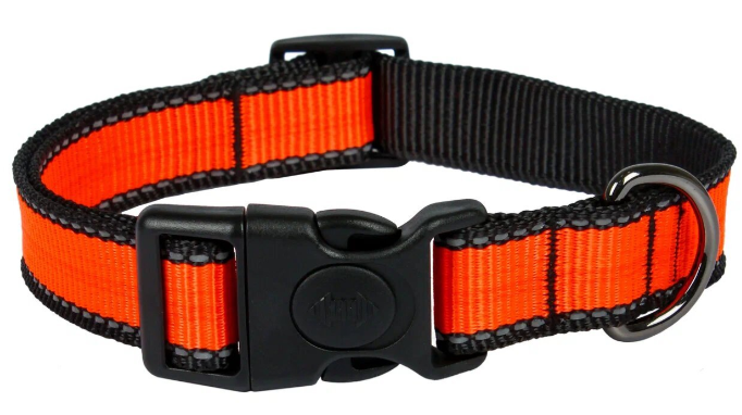 Ошейник LOOK XL нейлон фиксатор св/от 25" 40-65 Rich Breed ОНЛ-425 ОРАНЖЕВЫЙ