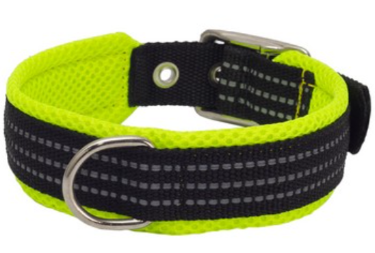 КАСКАД Ошейник нейлоновый с мягкой подкладкой 20 мм,27-43см