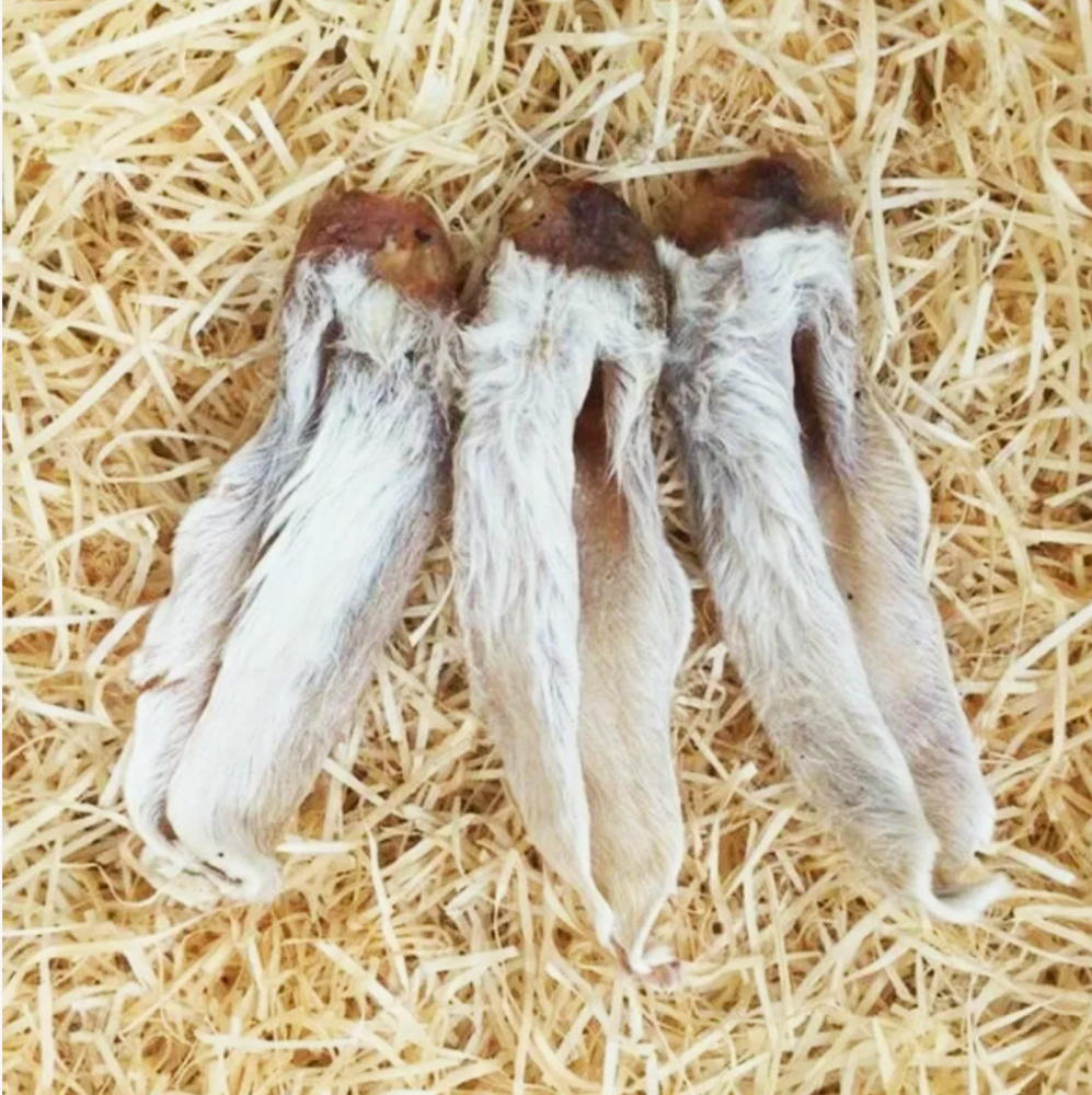 Лакомство Грызли для собак Уши кролика с мехом 30 г