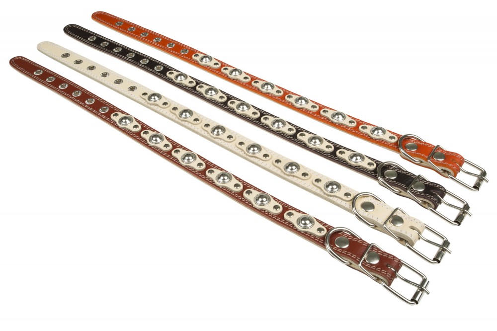 Ошейник №25 2 слоя с украшенный. Цвет в ассортименте