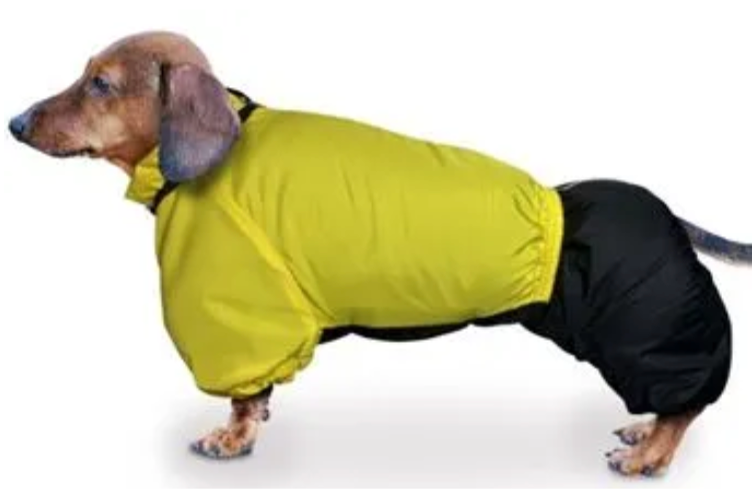 Комбинезон Зоотренд Такса средняя зимний