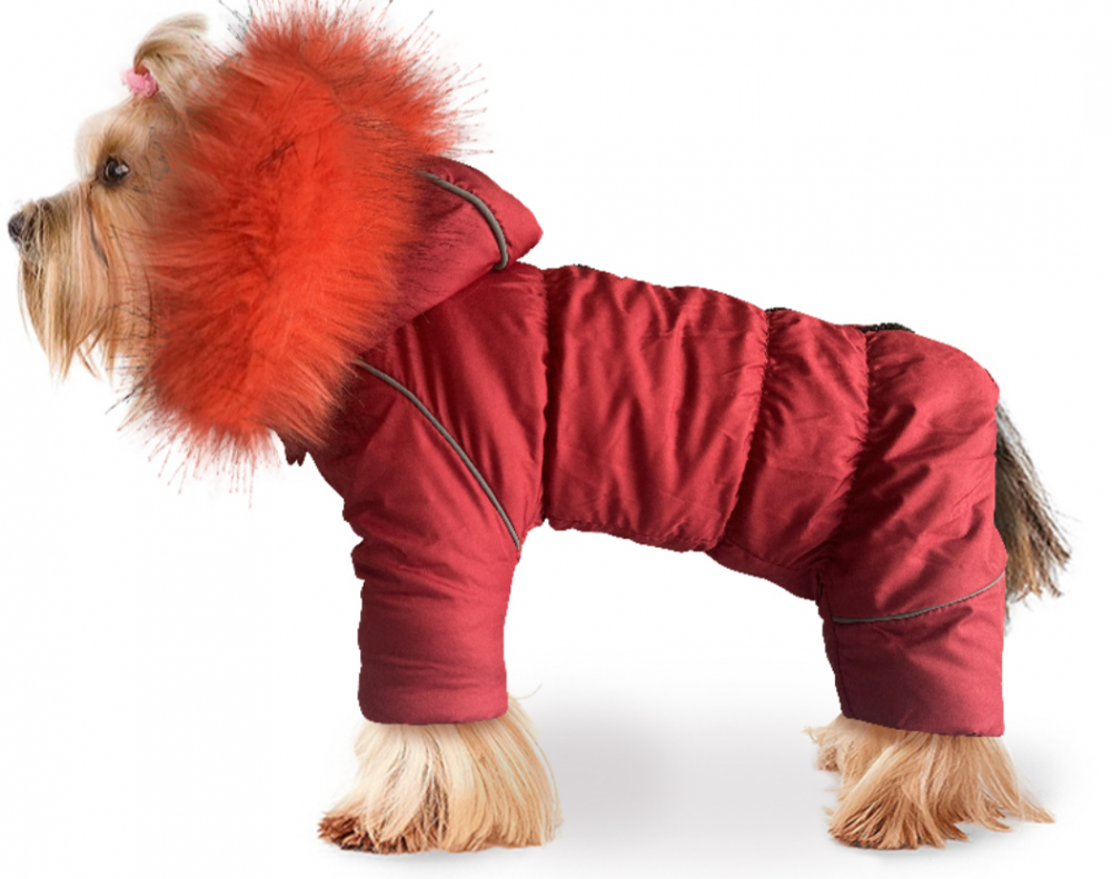 Зимний комбинезон ZooTREND Аляска M (спинка 25-28 см), цвет в ассортименте