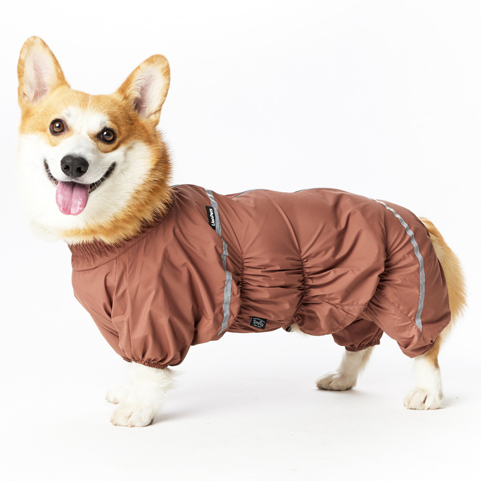 Дождевик LionPets Корги LPK-9125-128 на мальчика Цвет: Шоколадный (мальчик Размер 1 (спинка 50, обхват шеи 40-50, обхват груди 50-62))