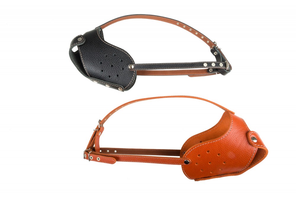 Намордник на пит-буля (цельнокроенный)