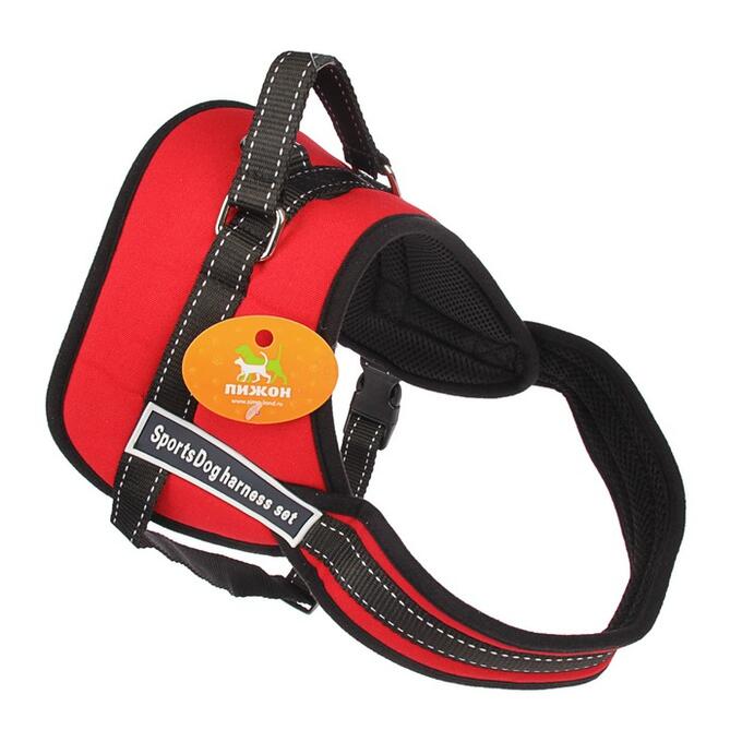 Шлейка с подкладом светоотражающая, размер XS (ОШ 45, ОГ 48-56 см), стропа 2,5 см, красная