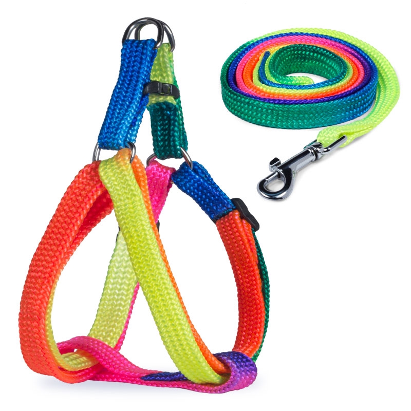 Triol набор шлейка и поводок, разноцветные