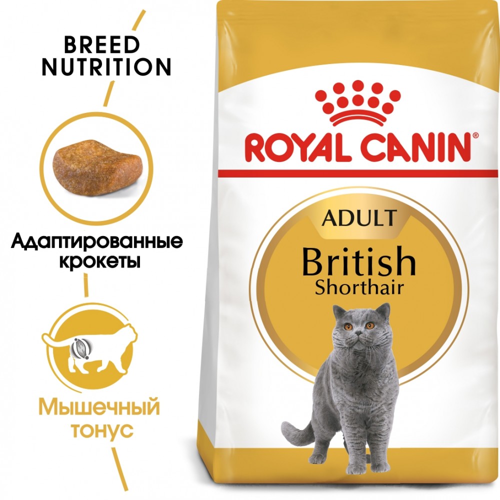 Корм Royal Canin British Shorthair для британских короткошерстных кошек