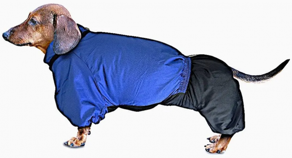 Комбинезон Зоотренд Такса средняя ст зимний