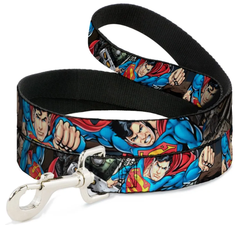 Buckle-Down поводок "Герой Метрополиса" 120 см., Разноцветный