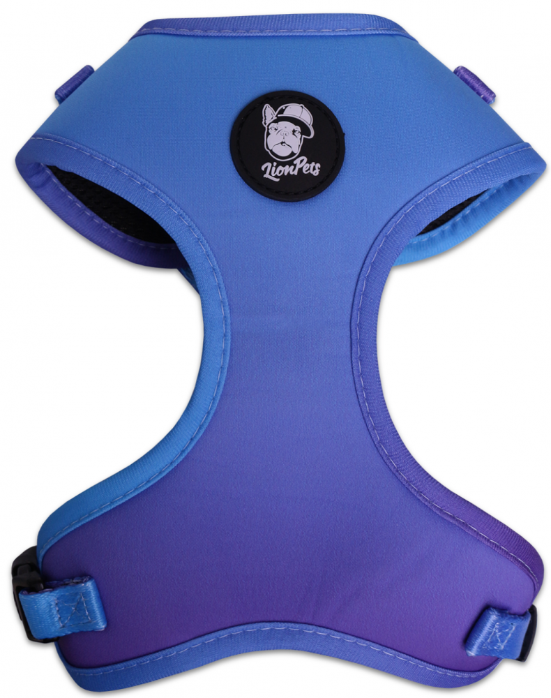 Шлейка LionPets LP-2401-6 (Размер S обхват груди 40-55 см, шея 35-44 см)