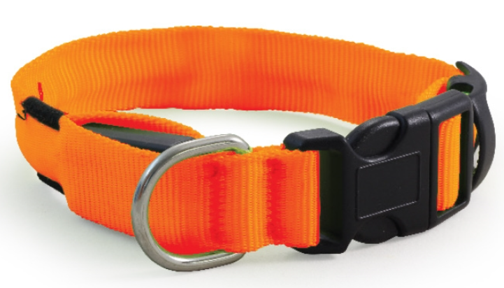 Китай Ошейник светодиодный неоновый XS 1.5*200-275мм