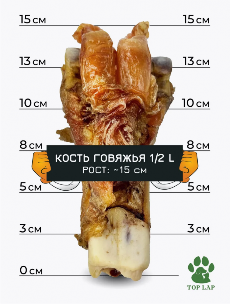 Кости говяжьи Top Lap с жилами для собак Л половина