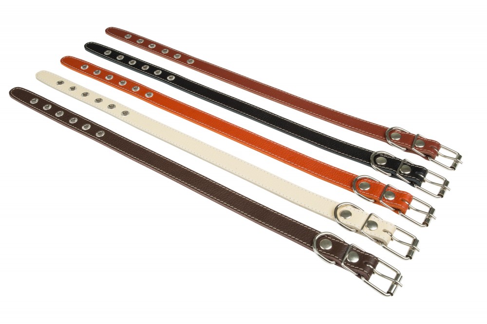 Ошейник №25 1 слой не украшенный. Цвет в ассортименте