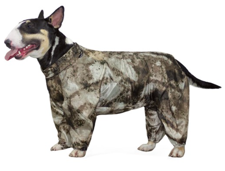 Комбинезон-дождевик "Бультерьер", 48см