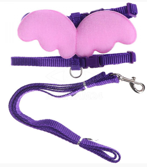 Комплект (Wogy) поводок + шлейка с крыльями для кошек, 120х1см