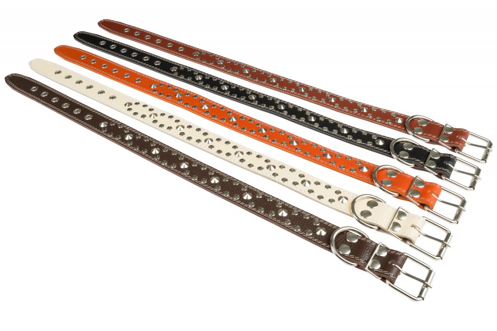 Ошейник №36 1 слой с подкладом клепанный. Цвет в ассортименте