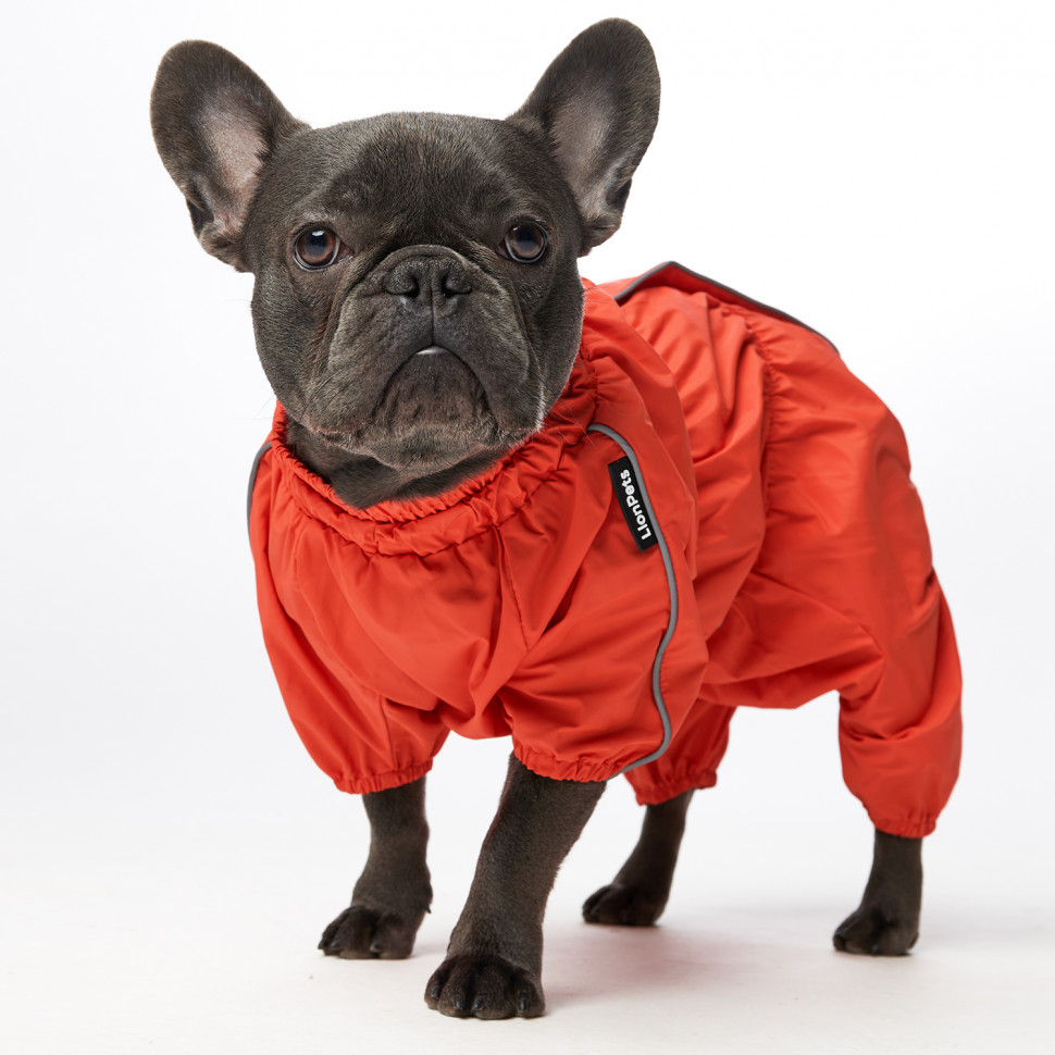 Дождевик LionPets Французский бульдог LPK9025-29 на девочку Цвет: Оранжевый
