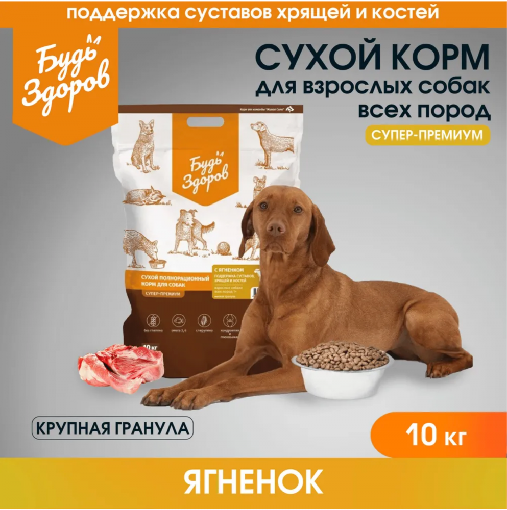 Корм Будь Здоров (Живая сила) Супер-Премиум (крупная гранула) для собак, поддержка суставов, хрящей и костей, повышенное содержание глюкозамина и хондроитина, с ягнёнком, 10 кг