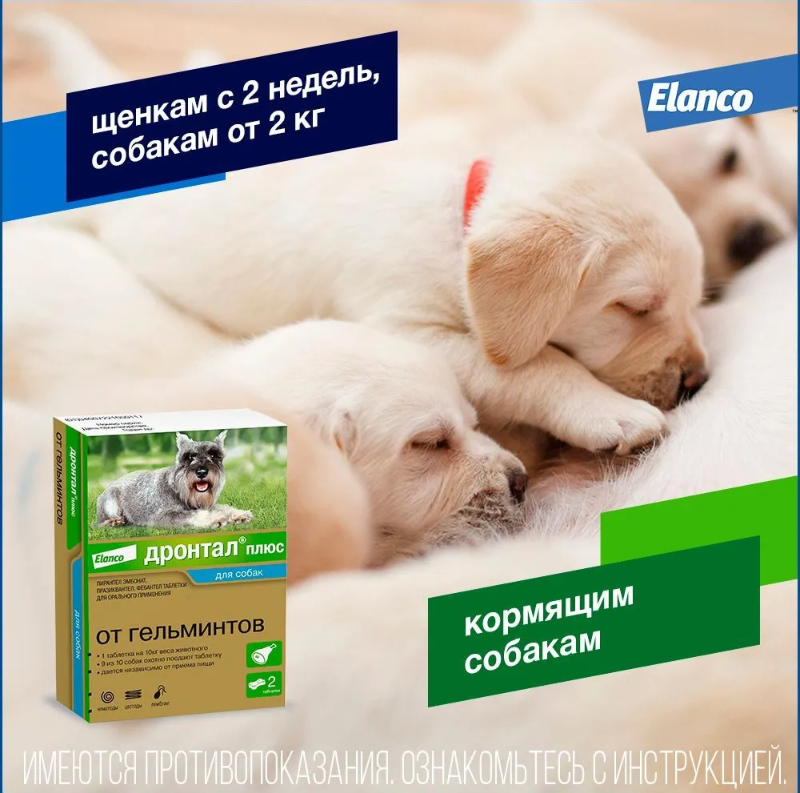 Антигельминтик для собак Дронтал плюс 2таблетки