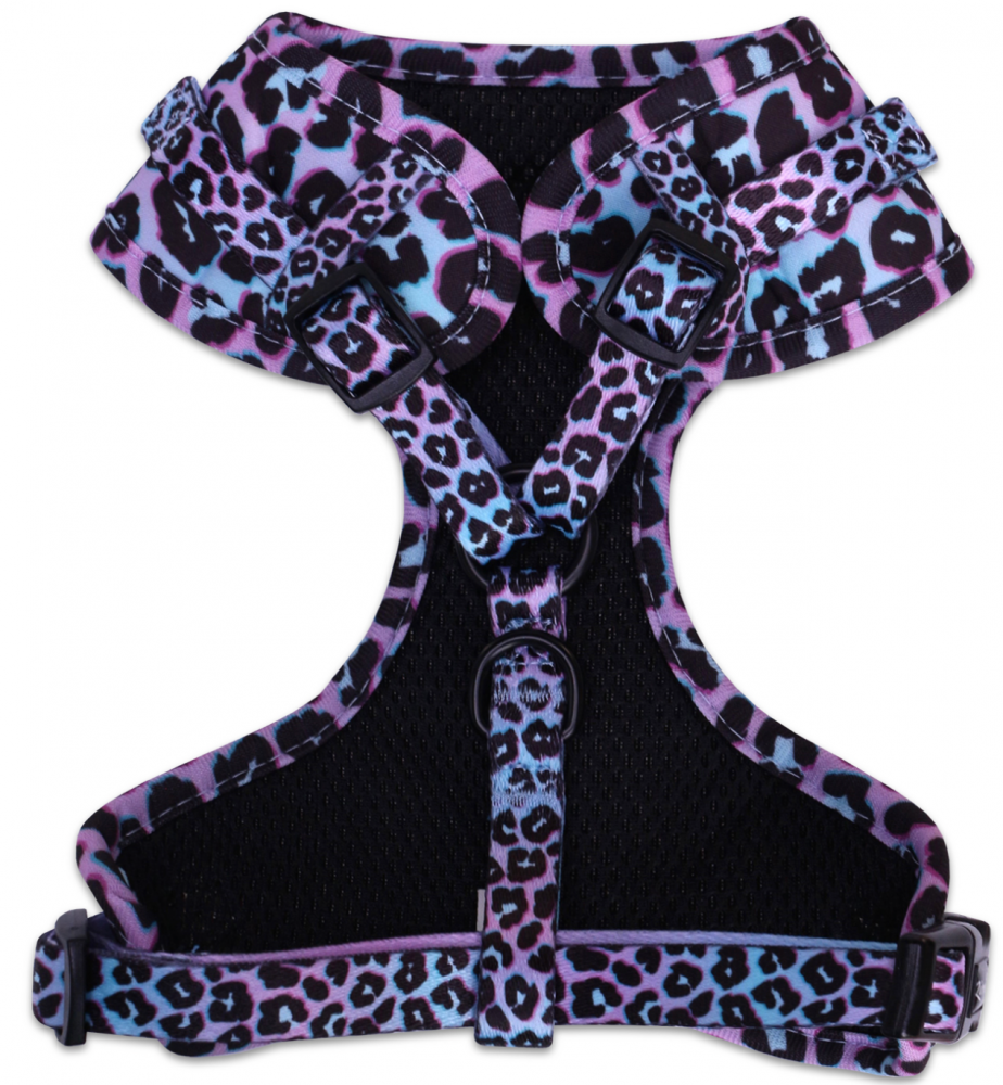 Шлейка LionPets LP-2401-5 (Размер XS обхват груди 34-48 см, шея 29-36 см)