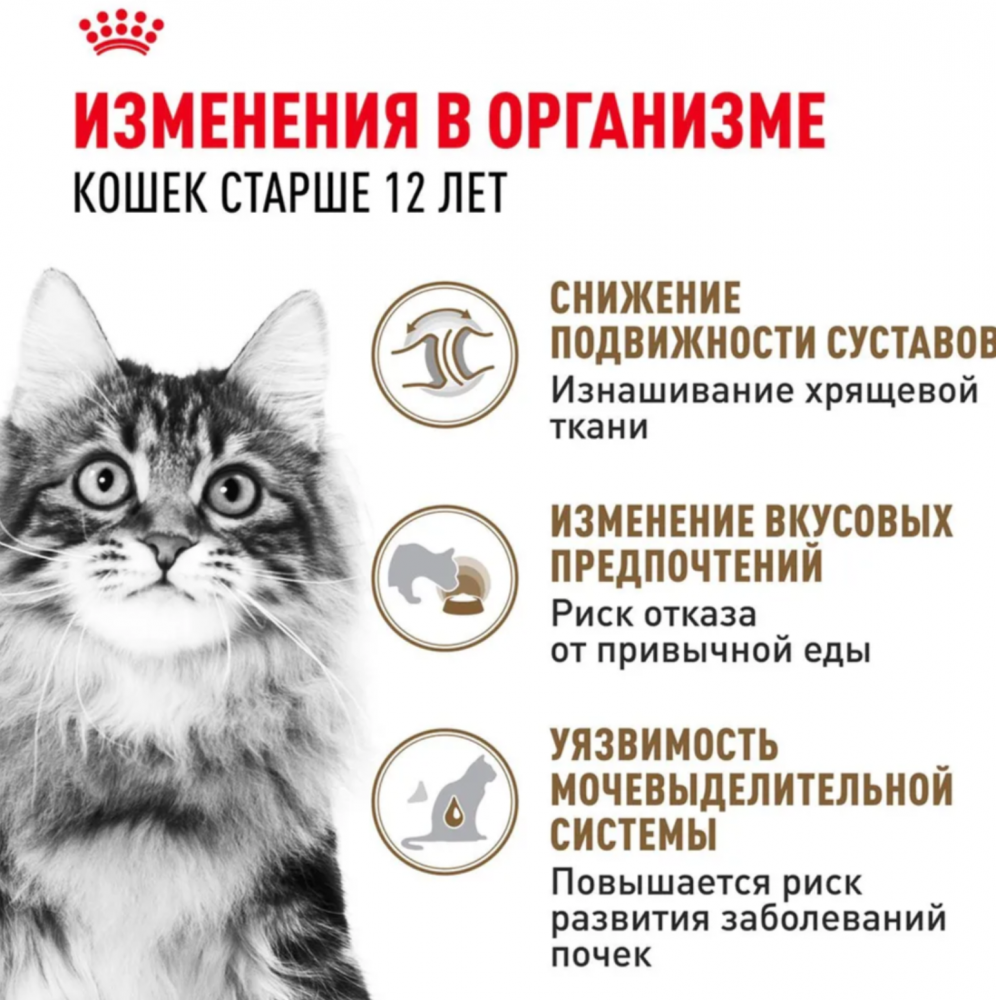 Влажный корм для кошек Royal Canin Ageing +12 кусочки в желе старше 12 лет 85 г