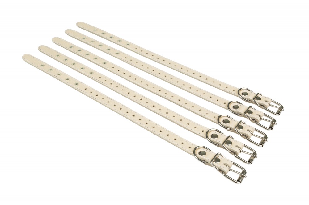 Ошейник №17 не украшенный