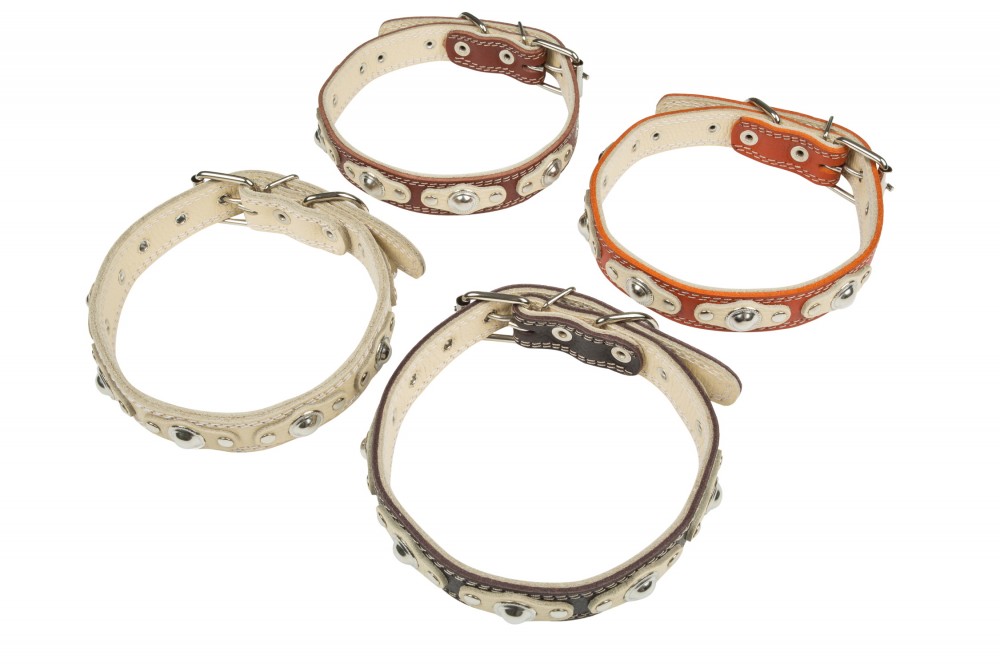 Ошейник №25 2 слоя с украшенный. Цвет в ассортименте