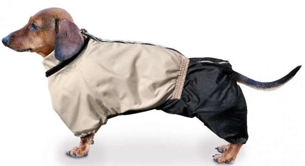 Комбинезон Зоотренд Такса средняя зимний