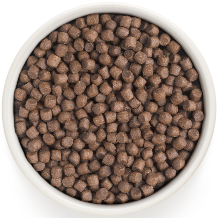 Корм Grandorf Mini Turkey &amp; Brown Rice Holistic для собак малых пород, индейка с бурым рисом