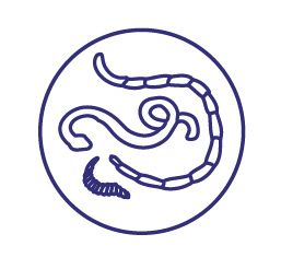 Препарат противопаразитный для собак Астрафарм Празител плюс мелких и средних пород 2таблетки