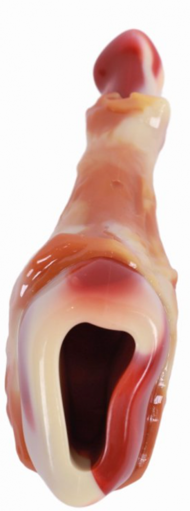 Игрушка для собак Карнивор голень, вкус бекона, красная Mpets