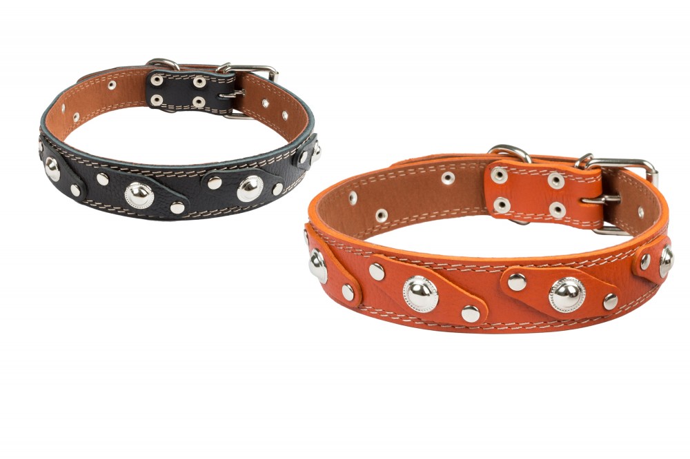 Ошейник №36 1 слой с подкладом украшенный. Цвет в ассортименте