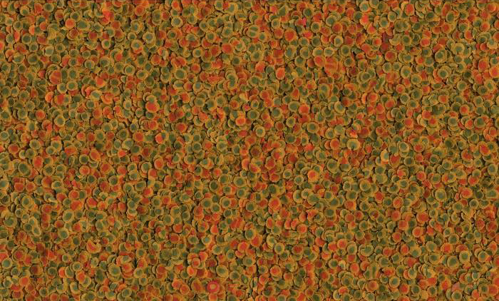 Tetra TetraPRO Energy Multi-Crisps корм для рыб в чипсах, 12 г