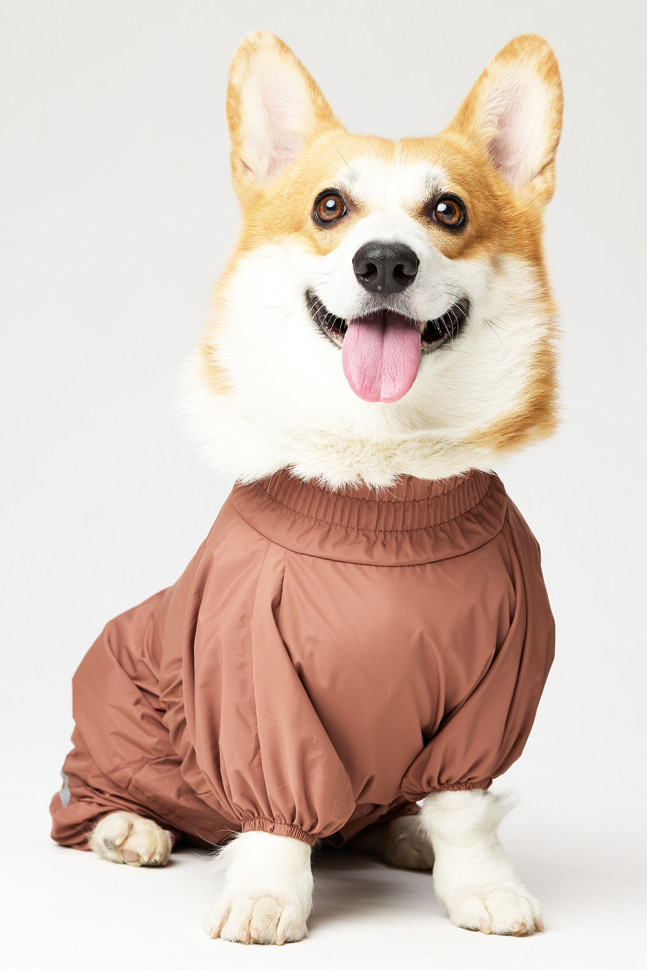 Дождевик LionPets Корги LPK-9125-128 на мальчика Цвет: Шоколадный (мальчик Размер 1 (спинка 50, обхват шеи 40-50, обхват груди 50-62))