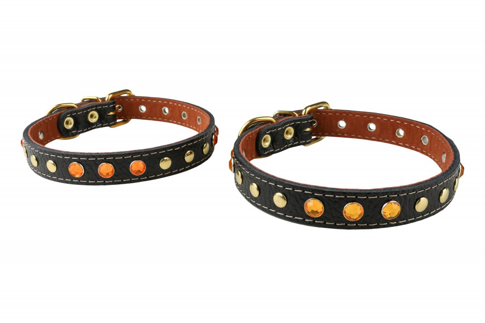 Ошейник №17 с подкладом украшенный. Цвет в ассортименте