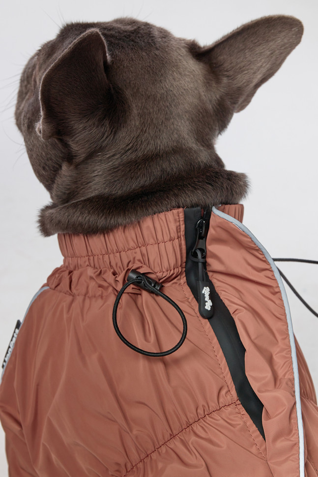 Дождевик LionPets Французский бульдог LPK9025-128 на мальчика Цвет: Шоколадный