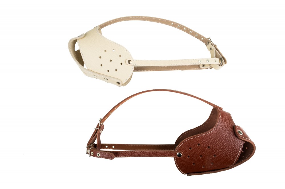 Намордник на пит-буля (цельнокроенный)