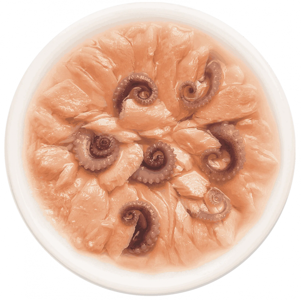 ПАУЧ Деревенские лакомства Лосось с осьминогом : ЖЕЛЕ 70 г для кошек