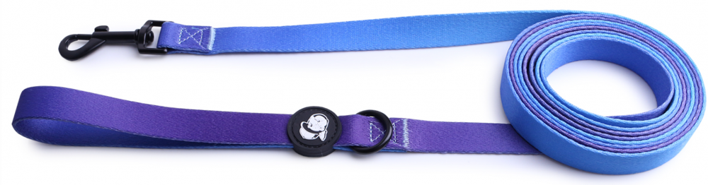 Поводок для собак LionPets с рисунком из полиэстера LP-700-6 (3XL-Ширина 2.5 см, длина 5 метров)