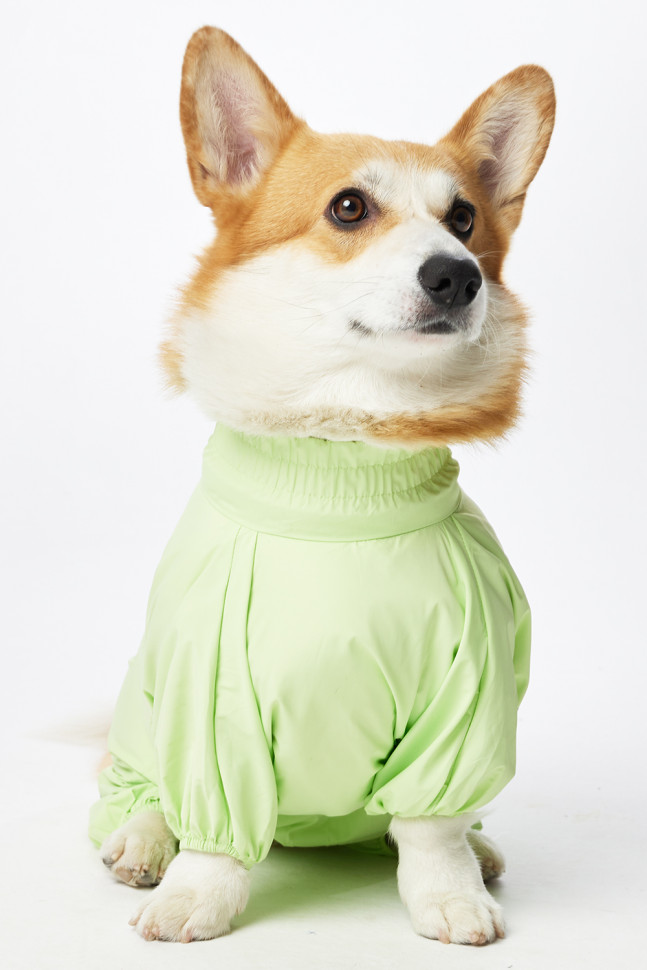 Дождевик LionPets Корги LPK-9125-4 на девочку Цвет: Салатовый (девочка Размер 1 (спинка 50,обхват шеи 35-46, обхват груди 53-60))
