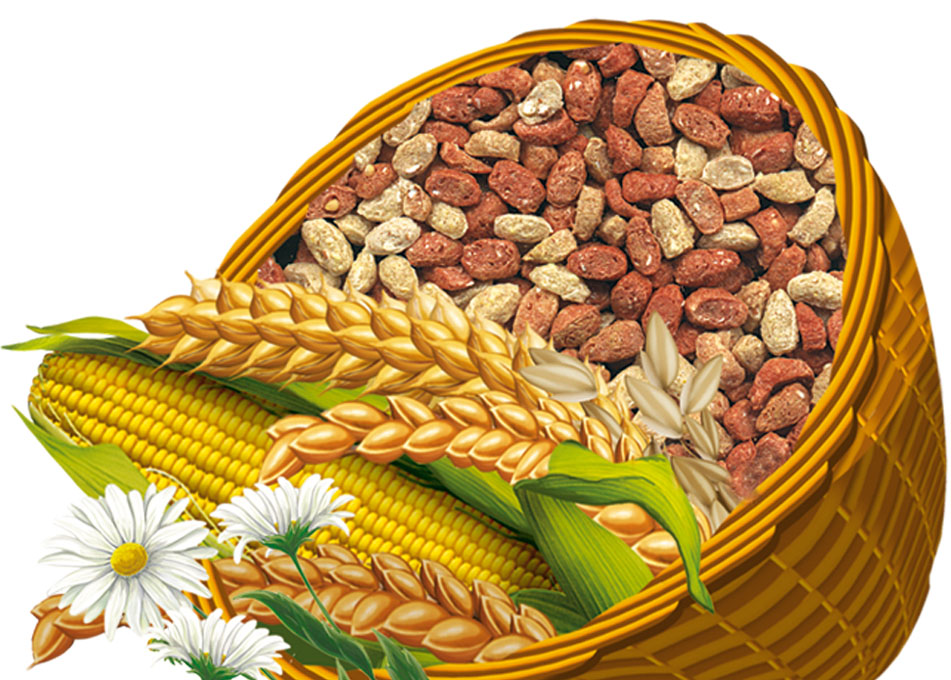 Корм-лакомство Грызунчик 2 (Зоомир) для кроликов и грызунов "Зерновые орешки", 250 г