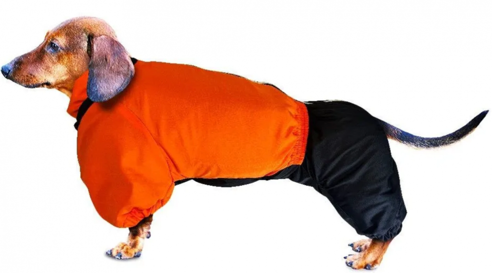 Комбинезон Зоотренд Такса средняя ст зимний