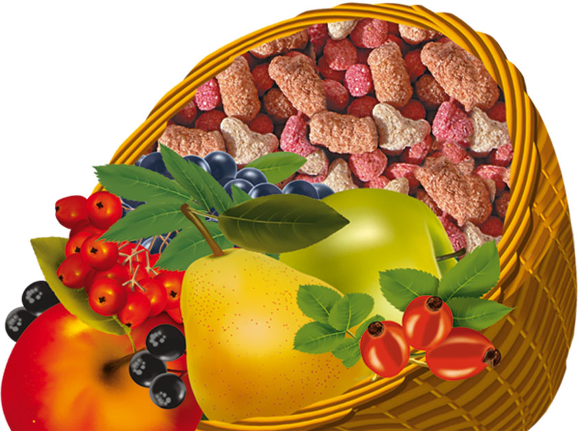 Корм-лакомство Грызунчик 3 (Зоомир) для кроликов и грызунов "Фруктовое ассорти", 200 г