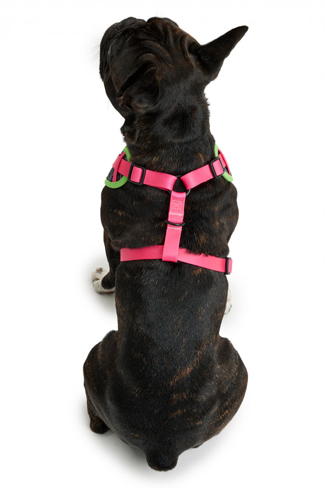 Шлейка LionPets LP23-14 (Размер XL обхват груди 62-100 см, шея 44-65 см)