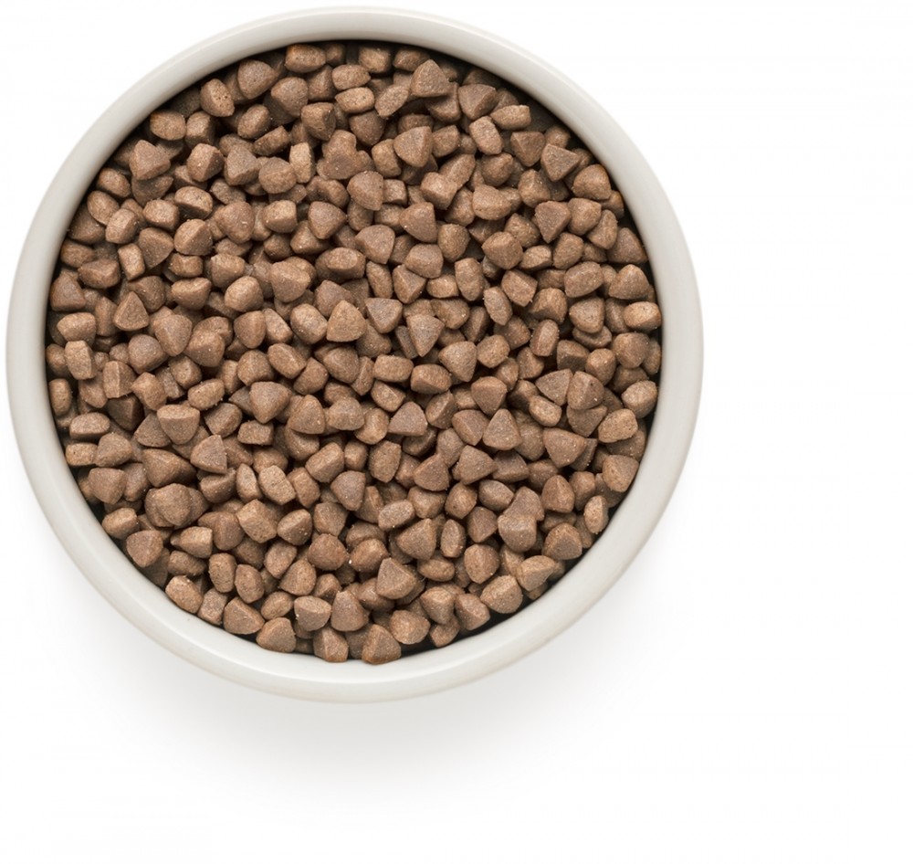 Корм сухой Grandorf Indoor White Fish &amp; Turkey для кошек с белой рыбой и индейкой