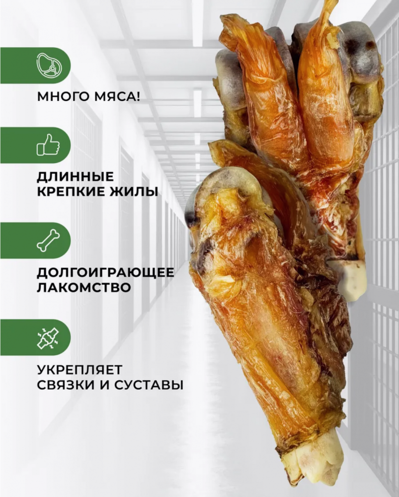 Кости говяжьи Top Lap с жилами для собак Л половина