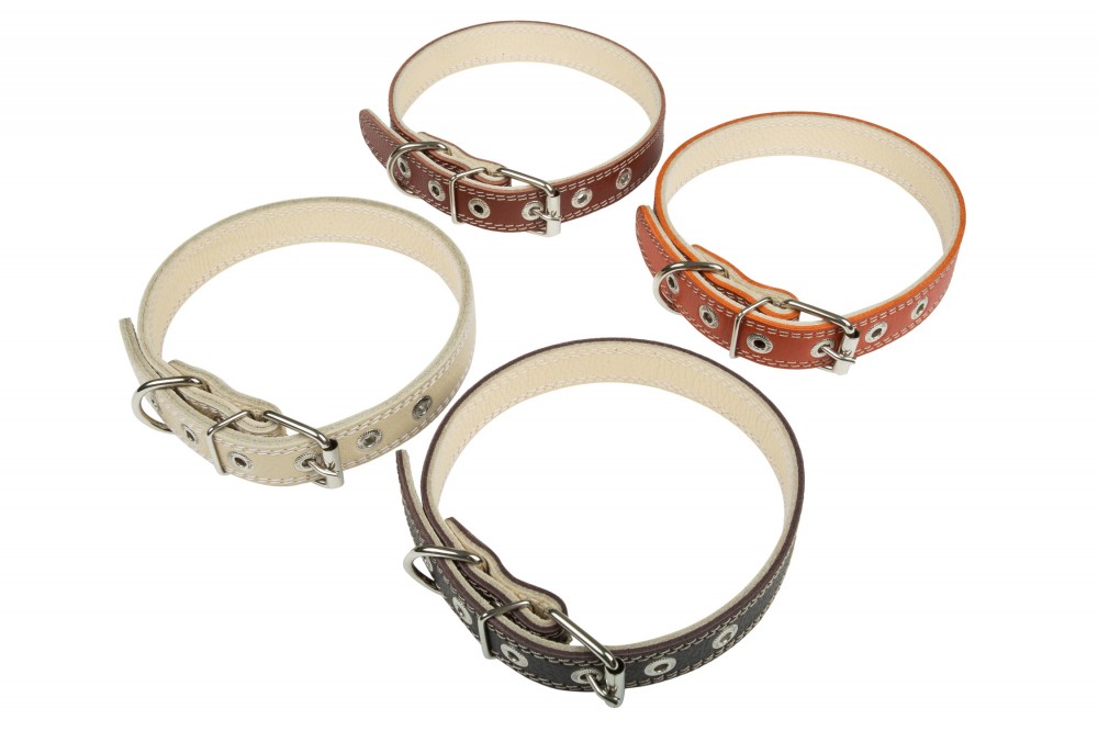 Ошейник №25 2 слоя не украшенный. Цвет в ассортименте