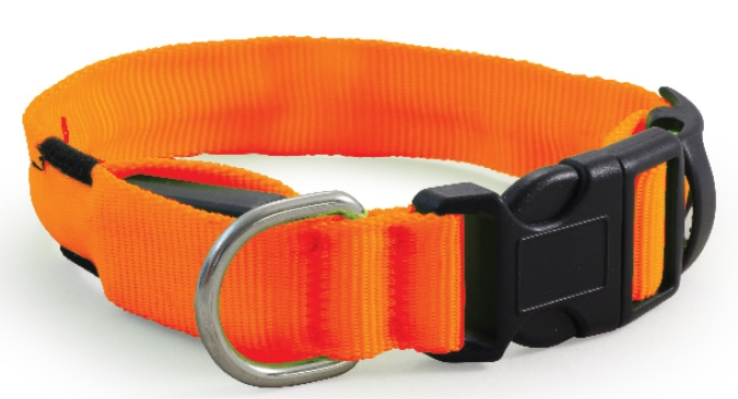 Китай Ошейник светодиодный  неоновый S, 20*230-310мм. Цвет в ассортименте