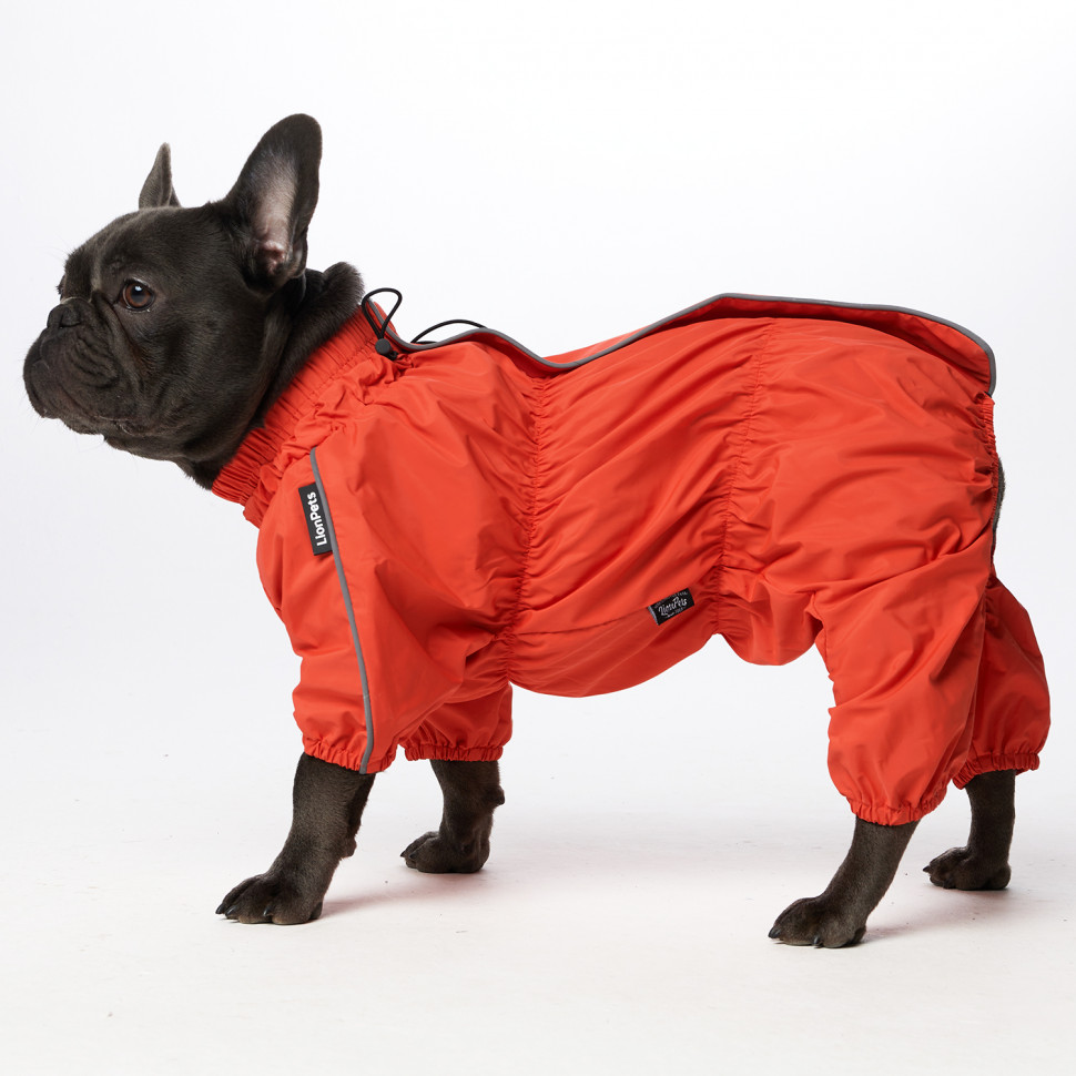 Дождевик LionPets Французский бульдог LPK9025-29 на девочку Цвет: Оранжевый