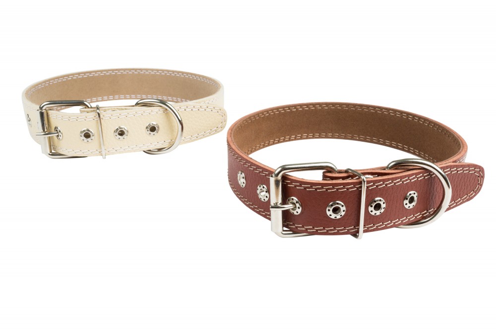 Ошейник №36 1 слой с подкладом не украшенный. Цвет в ассортименте